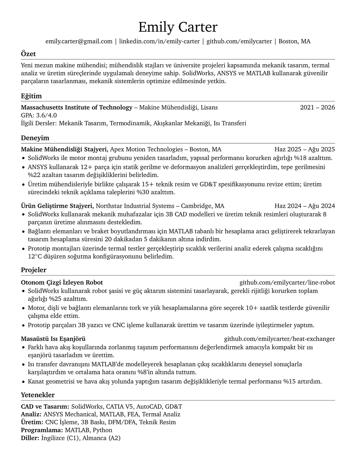 Turkish Sample CV